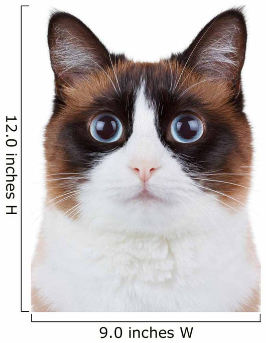 Not-So Angry Cat Wall Decal