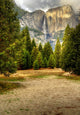 Yosemite Falls Wall Decal