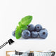 Blueberries Wall Decal