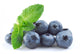 Blueberries Wall Decal