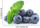 Blueberries Wall Decal
