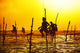 Stilt fishing Wall Decal