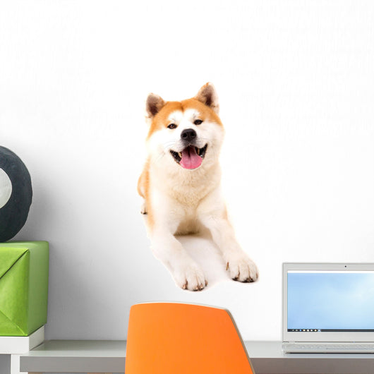 Akita Inu Wall Decal