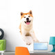 Akita Inu Wall Decal