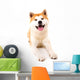 Akita Inu Wall Decal