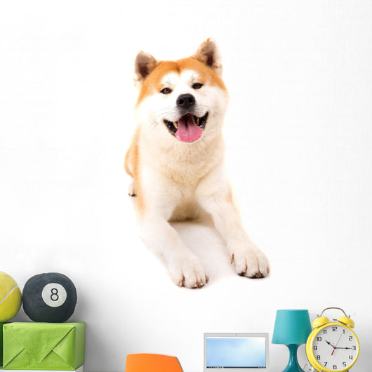 Akita Inu Wall Decal