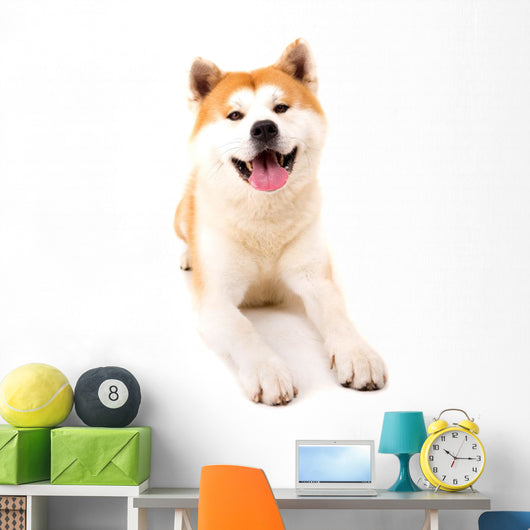 Akita Inu Wall Decal