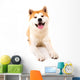 Akita Inu Wall Decal