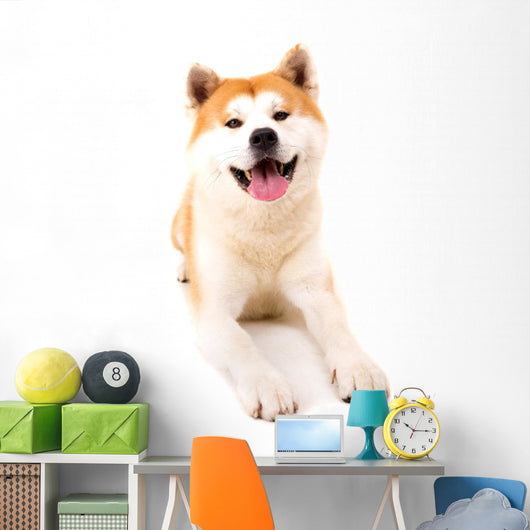 Akita Inu Wall Decal