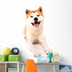 Akita Inu Wall Decal