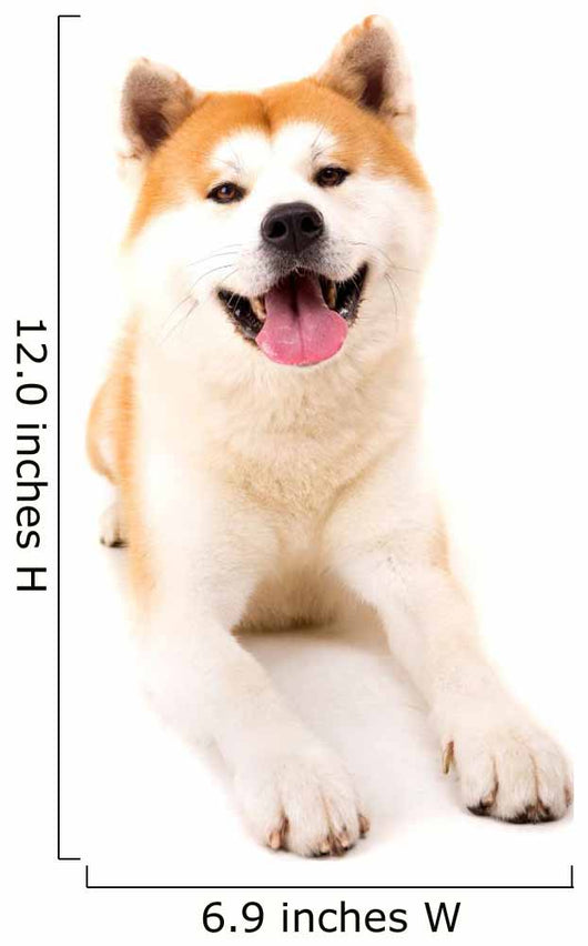 Akita Inu Wall Decal