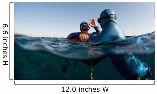 Free Divers Wall Decal