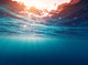 Blue Sea Wall Decal