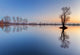 Alone Tree Lake Wall Decal