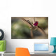 Anna's Hummingbird Wall Decal