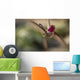 Anna's Hummingbird Wall Decal