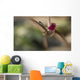 Anna's Hummingbird Wall Decal