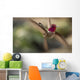 Anna's Hummingbird Wall Decal