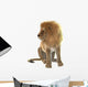 Lion Wall Decal