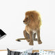 Lion Wall Decal