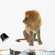 Lion Wall Decal