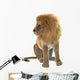Lion Wall Decal