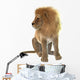 Lion Wall Decal