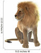 Lion Wall Decal