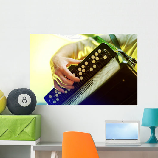 Image Musician Playing Accordion Wall Decal