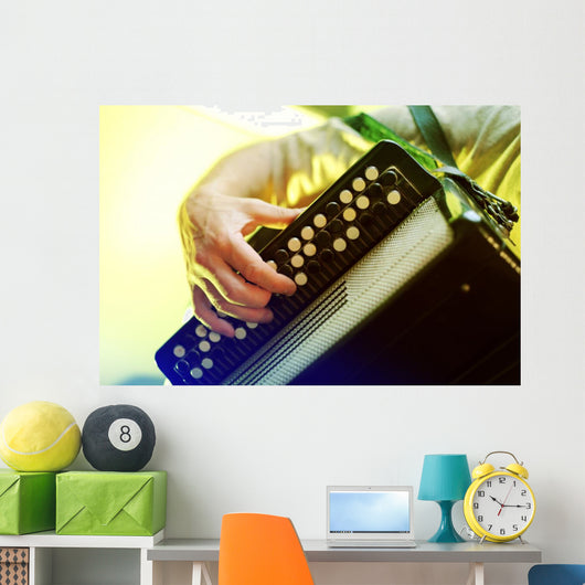 Image Musician Playing Accordion Wall Decal