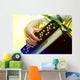 Image Musician Playing Accordion Wall Decal