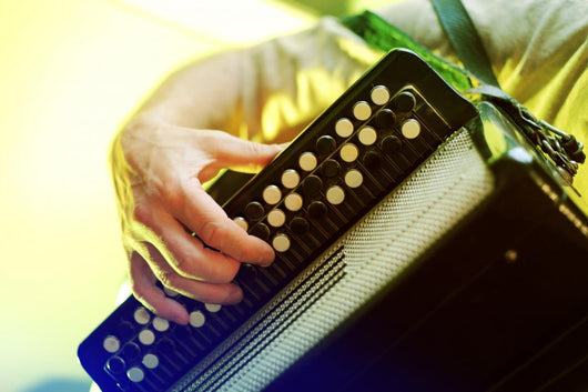 Image Musician Playing Accordion Wall Decal