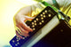 Image Musician Playing Accordion Wall Decal