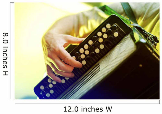Image Musician Playing Accordion Wall Decal