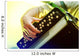 Image Musician Playing Accordion Wall Decal