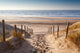 sand path to North sea at sunset Wall Decal
