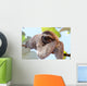 Sloth Wall Decal