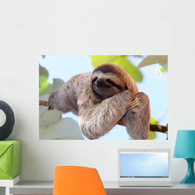 Sloth Wall Decal shown on a wall