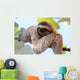 Sloth Wall Decal