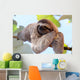 Sloth Wall Decal