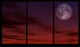 Moonlight Through the Window Wall Decal