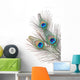 Feather Wall Decal