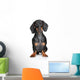 Miniature Dachshund Wall Decal
