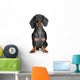 Miniature Dachshund Wall Decal