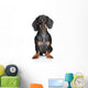 Miniature Dachshund Wall Decal