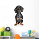 Miniature Dachshund Wall Decal