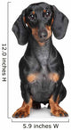 Miniature Dachshund Wall Decal