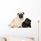 Pugs Black and Brown Wall Decal