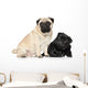 Pugs Black and Brown Wall Decal