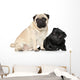 Pugs Black and Brown Wall Decal